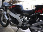 Suzuki RG 250 TV Wolf